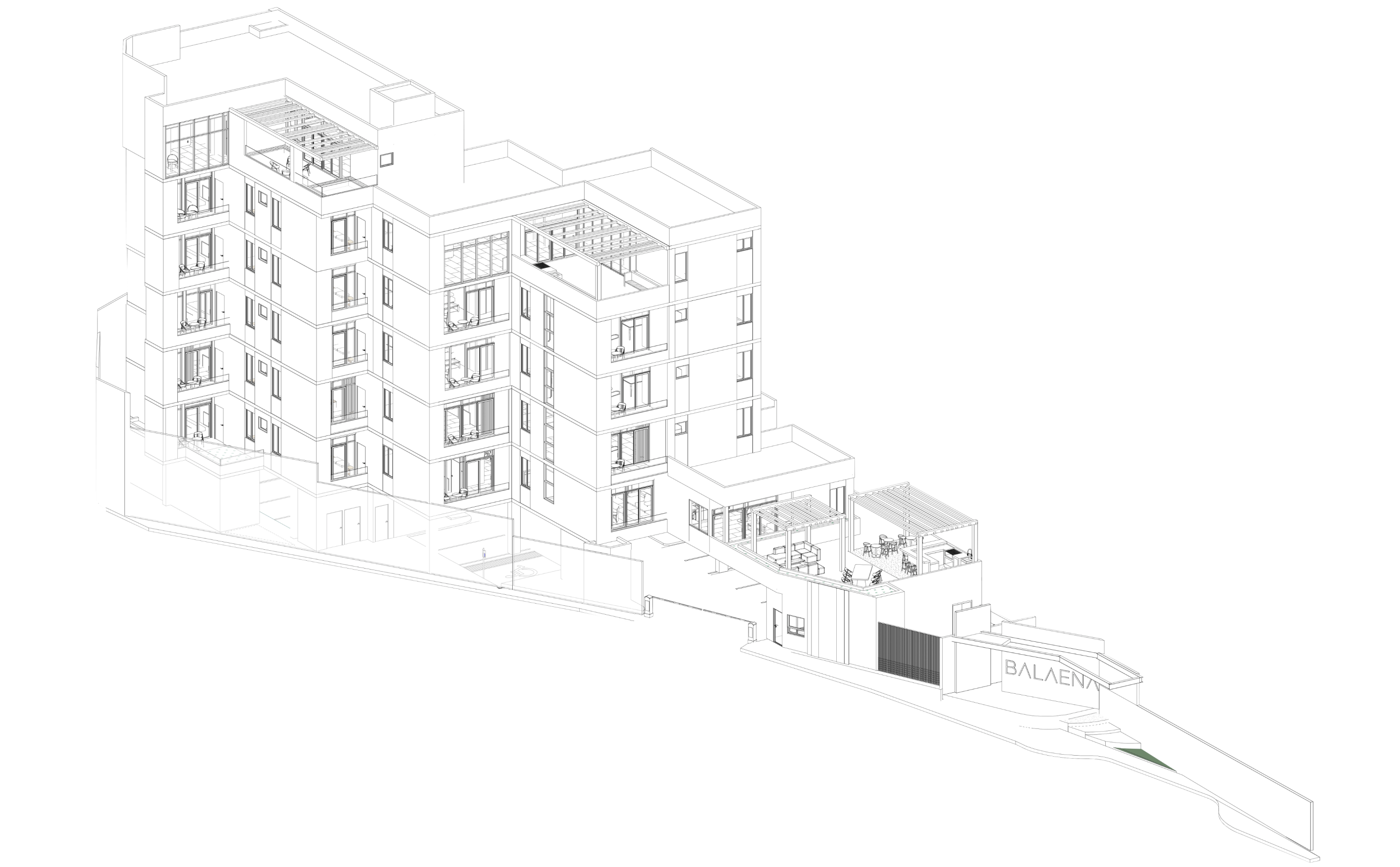 Departamentos Balaena